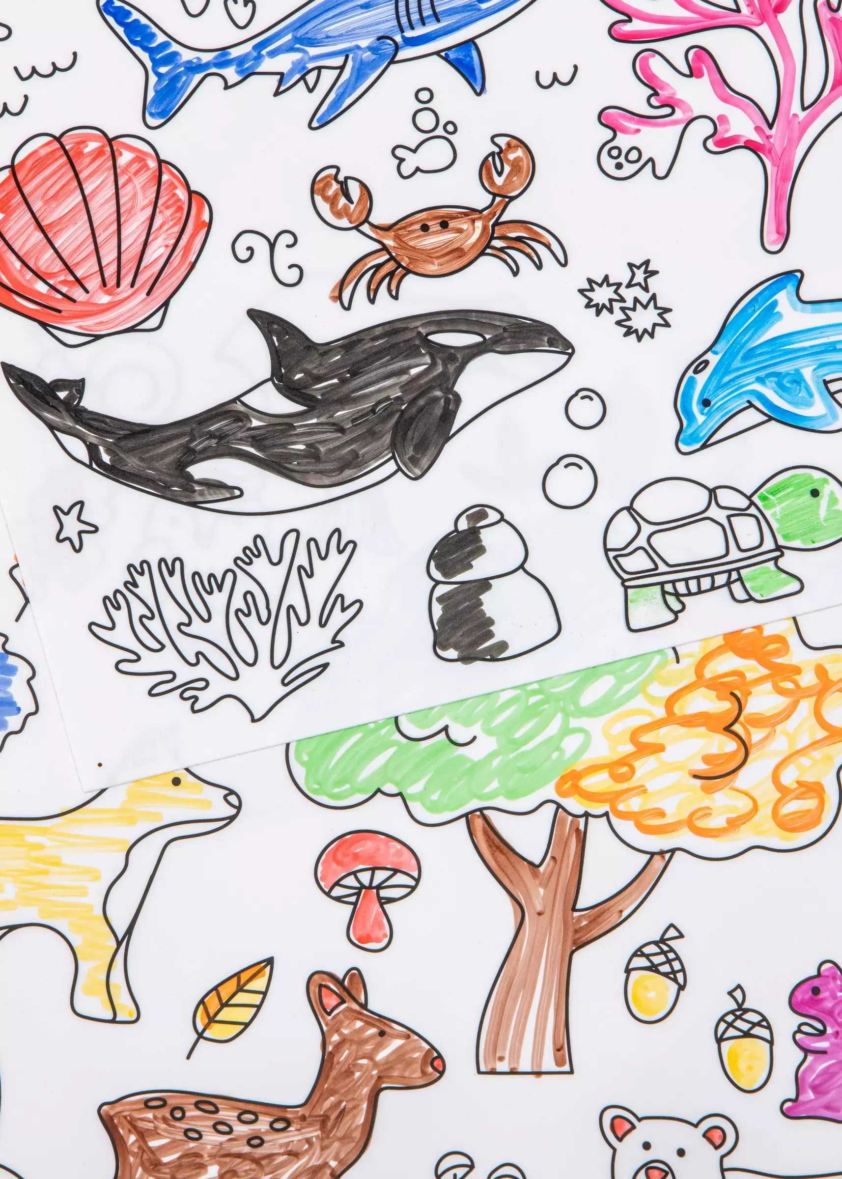 Thumbnail 7